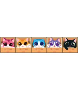 Cat Box