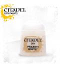 Pintura Citadel: Dry Praxeti White Pintura Citadel: Dry Praxeti White