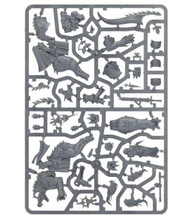 Warhammer Age of Sigmar: Stormcast Eternals (Evocators on Celestial Dracolines)