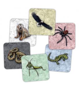 Dominant Species