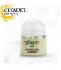 Pintura Citadel: Dry Nurgling Green Pintura Citadel: Dry Nurgling Green