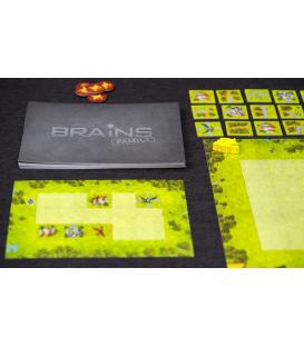Brains Family: Castillos y Dragones
