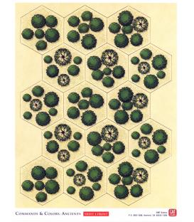 Commands & Colors: Ancients