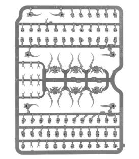 Warhammer Age of Sigmar: Citadel Skulls