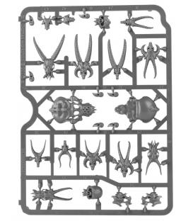 Warhammer Age of Sigmar: Citadel Skulls