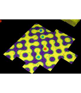Amoeba