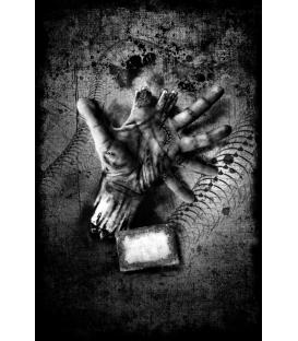 Dead of Night