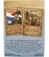 1500 The New World: Netherlands
