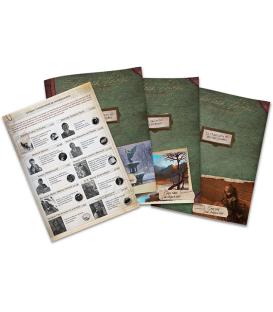 Sherlock Holmes Detective Asesor: Los Irregulares de Baker Street