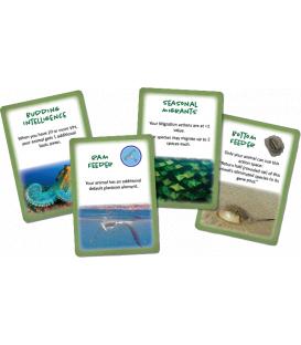 Dominant Species: Marine