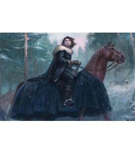 Juego de Tronos LCG (2ª Edición): Lobos del Norte