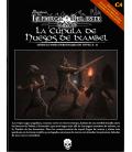 Aventuras en la Marca del Este: La Cúpula de Huesos de Ixambel Aventuras en la Marca del Este: La Cúpula de Huesos de Ixambel