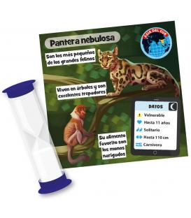 BrainBox: Animales