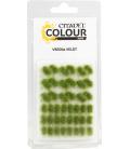 Citadel Colour: Verdia Veldt Tufts Citadel Colour: Verdia Veldt Tufts