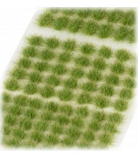 Citadel Colour: Verdia Veldt Tufts