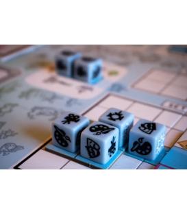 Cámara Roll