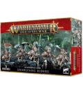Warhammer Age of Sigmar: Gloomspite Gitz (Snarlfang Riders) Warhammer Age of Sigmar: Gloomspite Gitz (Snarlfang Riders)