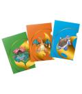 Pokemon TCG: Tournament Folio (Kanto Starters Evolution) Pokemon TCG: Tournament Folio (Kanto Starters Evolution)
