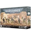 Warhammer 40,000: T'au Empire (Krootox Rampagers) Warhammer 40,000: T'au Empire (Krootox Rampagers)
