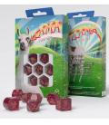 Q-Workshop: Llama Dice Set (20th Anniversary) Q-Workshop: Llama Dice Set (20th Anniversary)