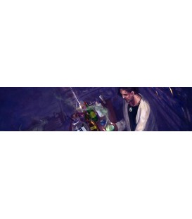 The Dresden Files